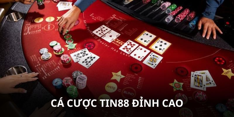 Thiên đường cá cược đỉnh cao Tin88